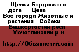 Щенки Бордоского дога.  › Цена ­ 30 000 - Все города Животные и растения » Собаки   . Башкортостан респ.,Мечетлинский р-н